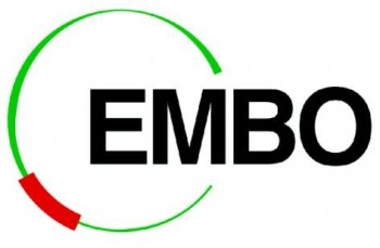 EMBO